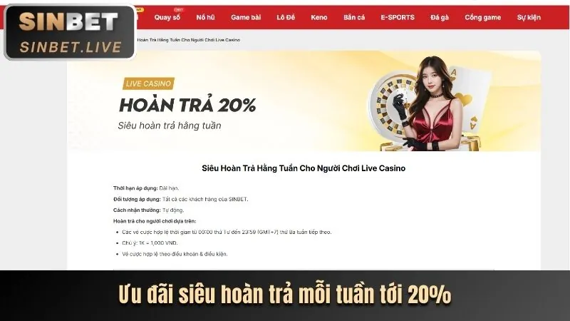 Minh họa sự minh bạch trong luật chơi casino của sb88 link mới